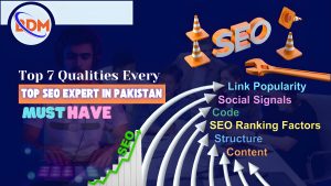 Top SEO Expert in Pakistan