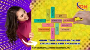 Affordable Social Media Marketing in Pakistan for Small Businesses by BDM Solutions